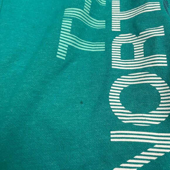 The North Face Pullover Hoodie Sweatshirt Womens Large Green Graphic Casual - Picture 12 of 15